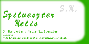 szilveszter melis business card